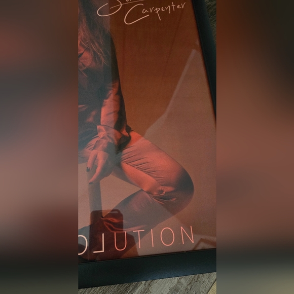 Sabrina Carpenter Evolution Poster ~20x14 - Picture 6 of 8